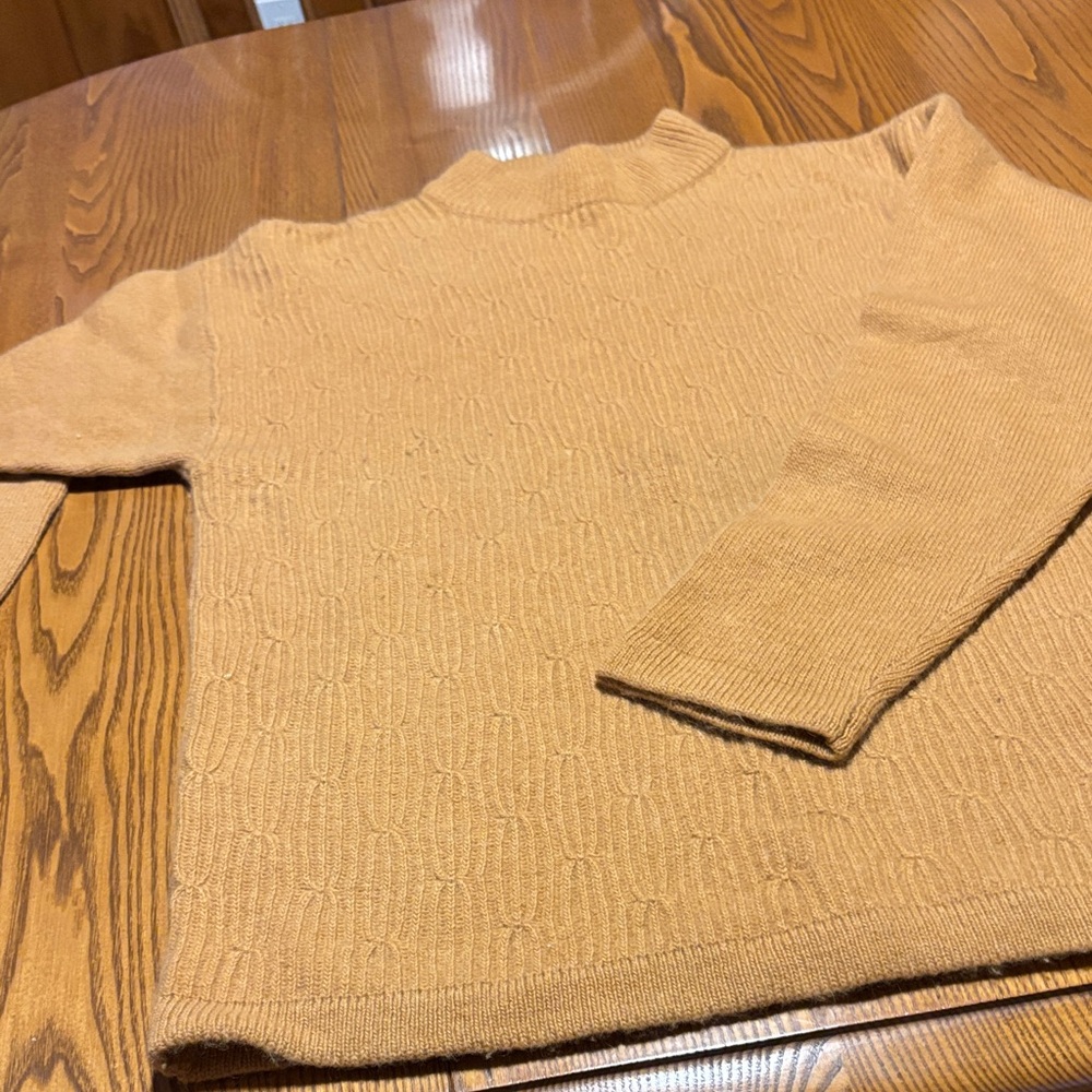 Cozy Women's Tan Turtleneck Sweater
